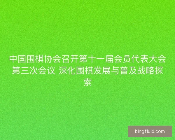 中国围棋协会召开第十一届会员代表大会第三次会议 深化围棋发展与普及战略探索 中国围棋协会召开第十一届会员代表大会第三次会议 深化围棋发展与普及战略探索