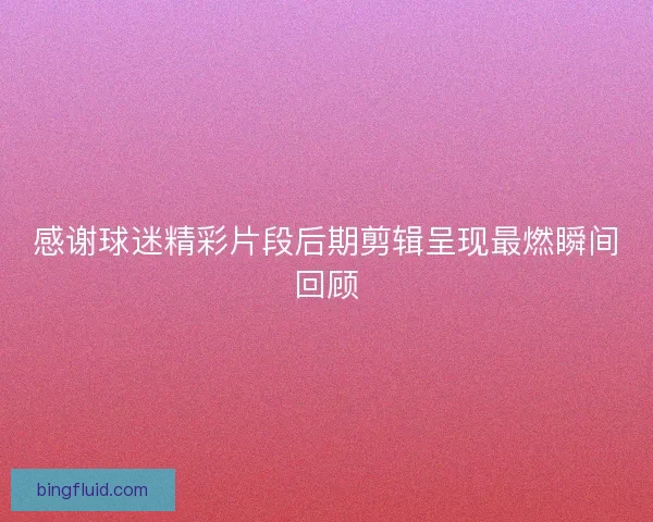 感谢球迷精彩片段后期剪辑呈现最燃瞬间回顾
